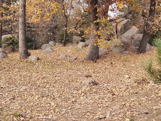 a view of a backyard of a house