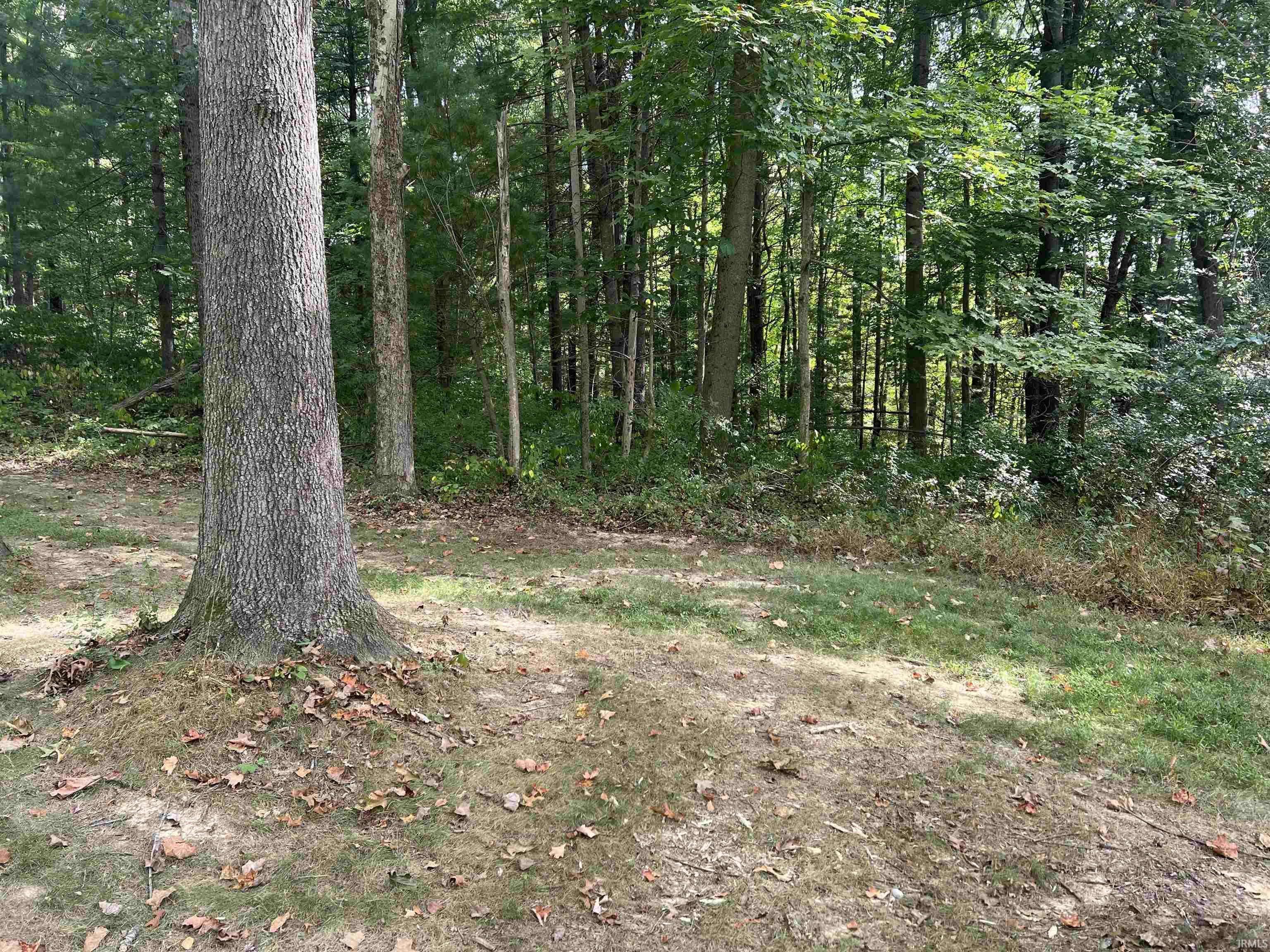 Covered Bridge Road Morgantown, IN 46160 - Photo 3 of 5