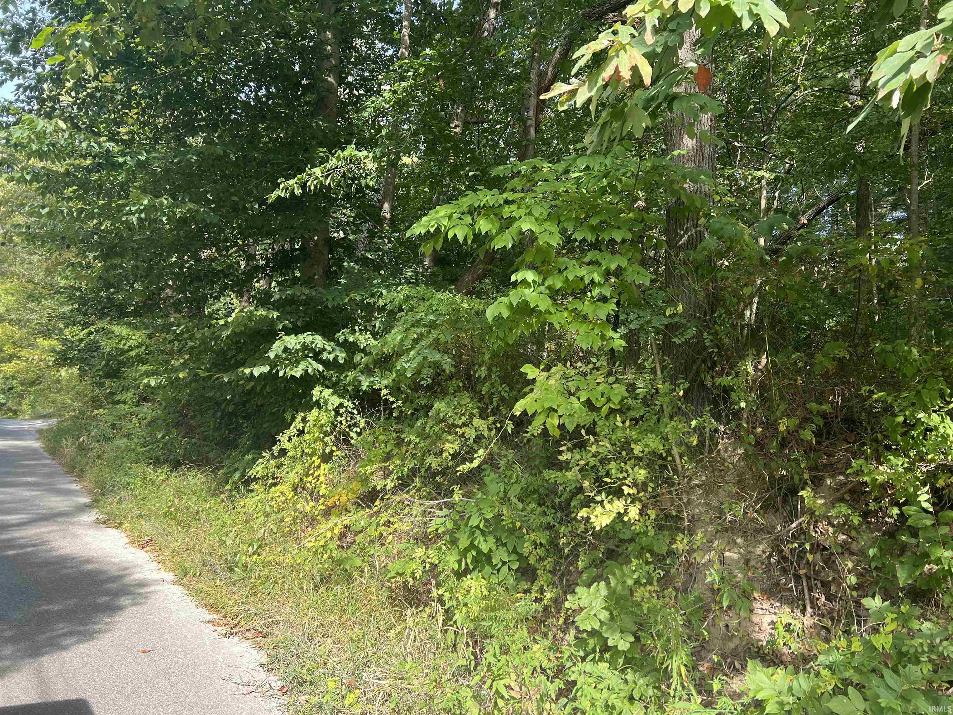 Covered Bridge Road Morgantown, IN 46160 - Photo 4 of 5