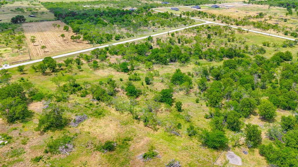 Lot 123 Palmito Ranch Road Corsicana, TX 75110 - Photo 8 of 23 a view of a yard with plants