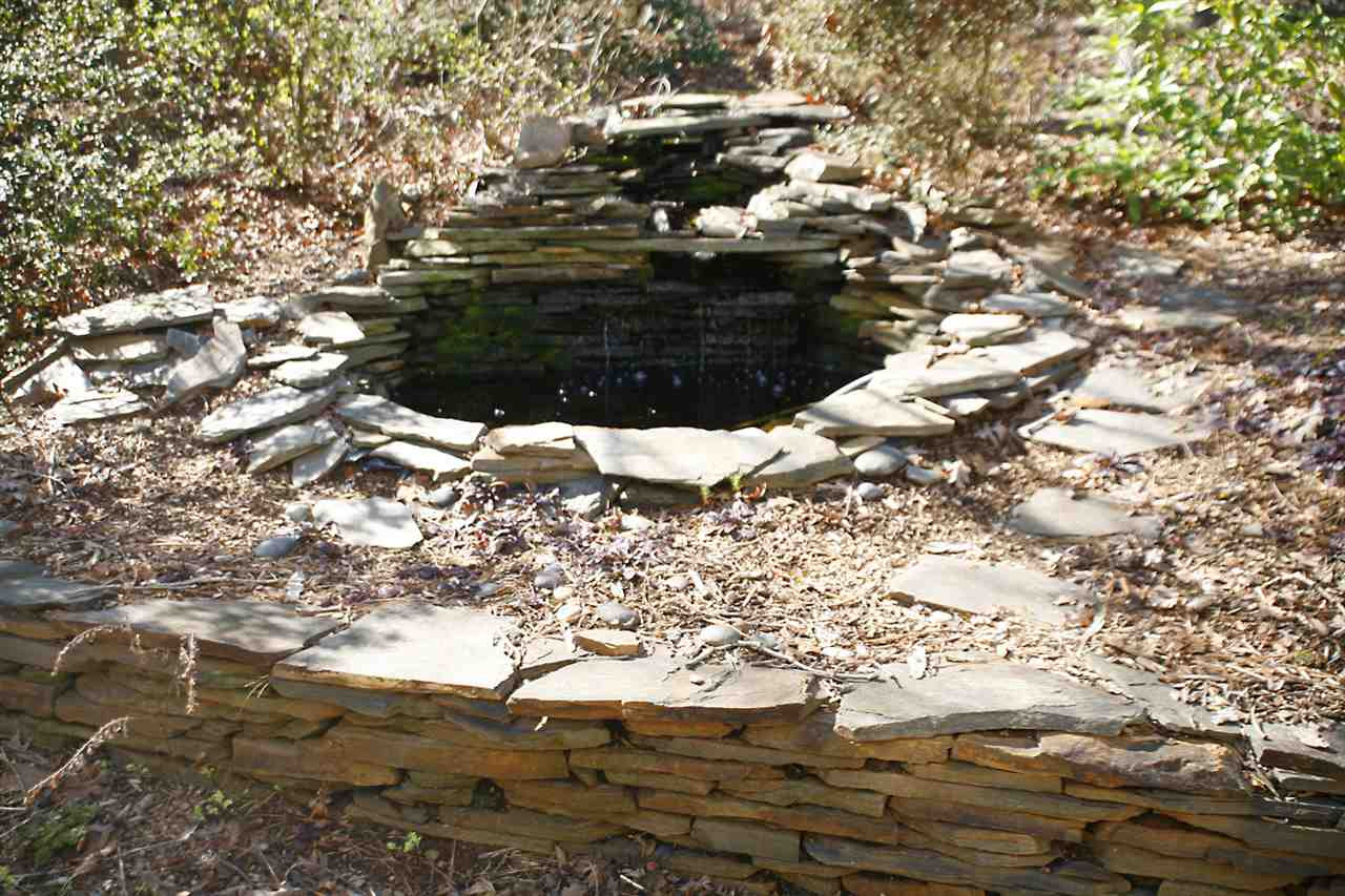5609 Millrace Trail Raleigh, NC 27606 - Photo 25 of 28 Coy Pond