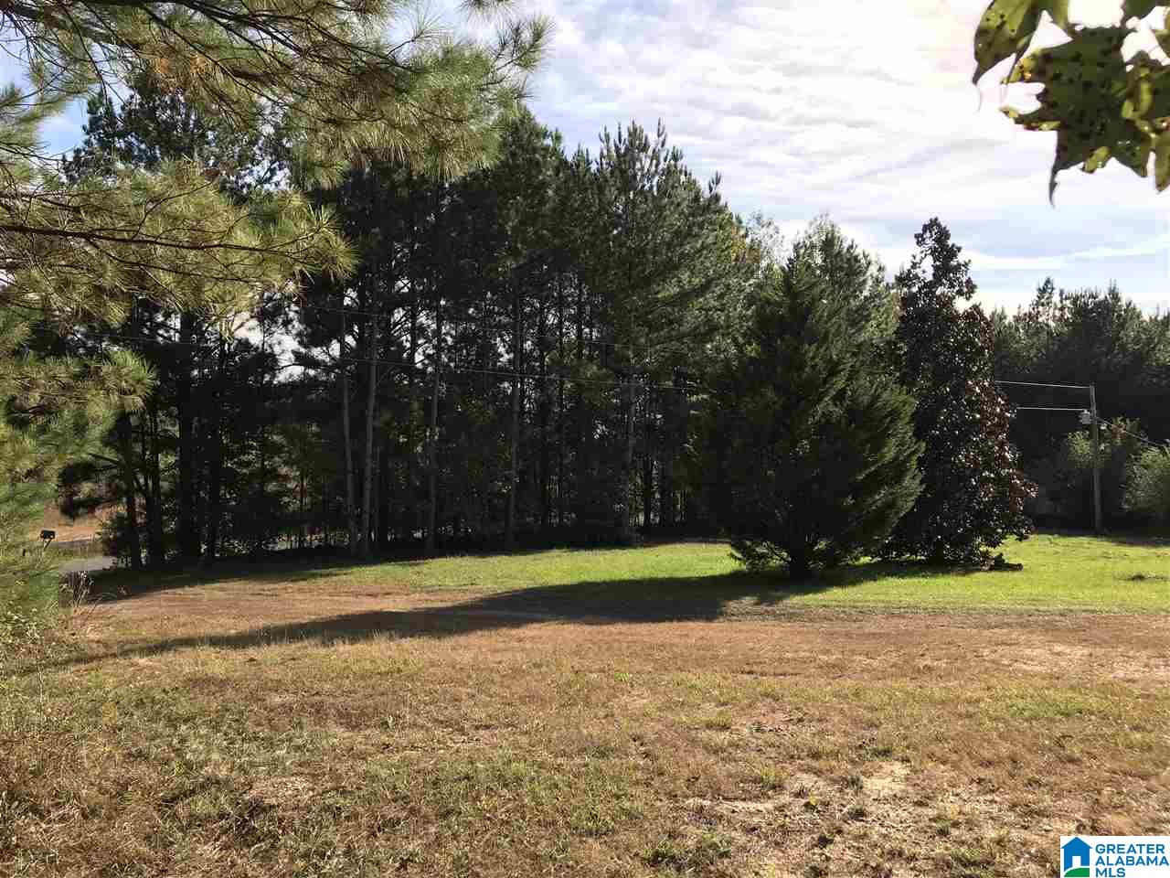 1210 Sardis Road Ashland, AL 36251 - Photo 15 of 19