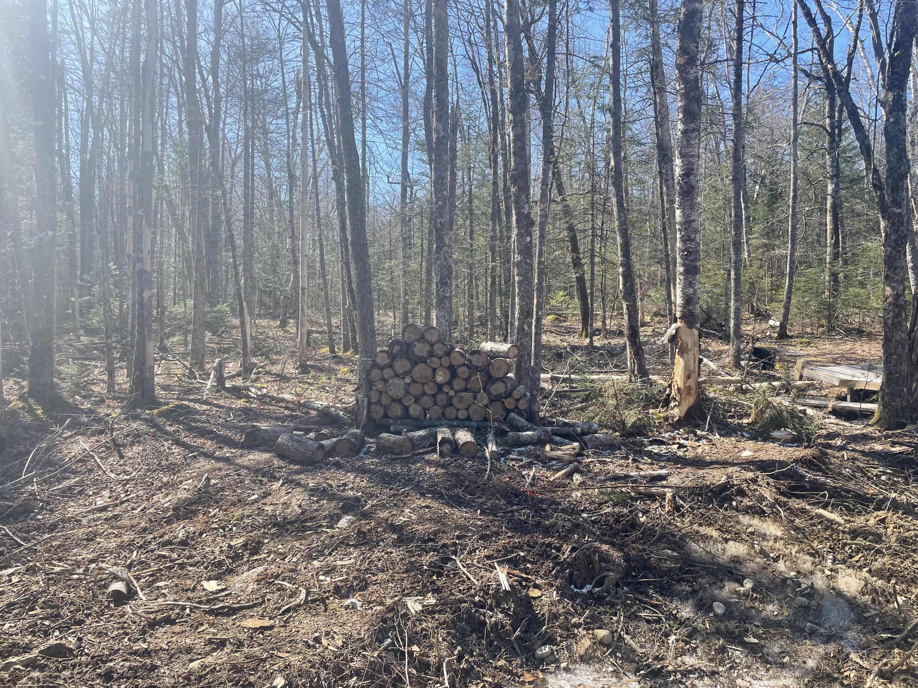 Map19-lot60 High Point Drive Penobscot, ME 04476 - Photo 15 of 15 image00015