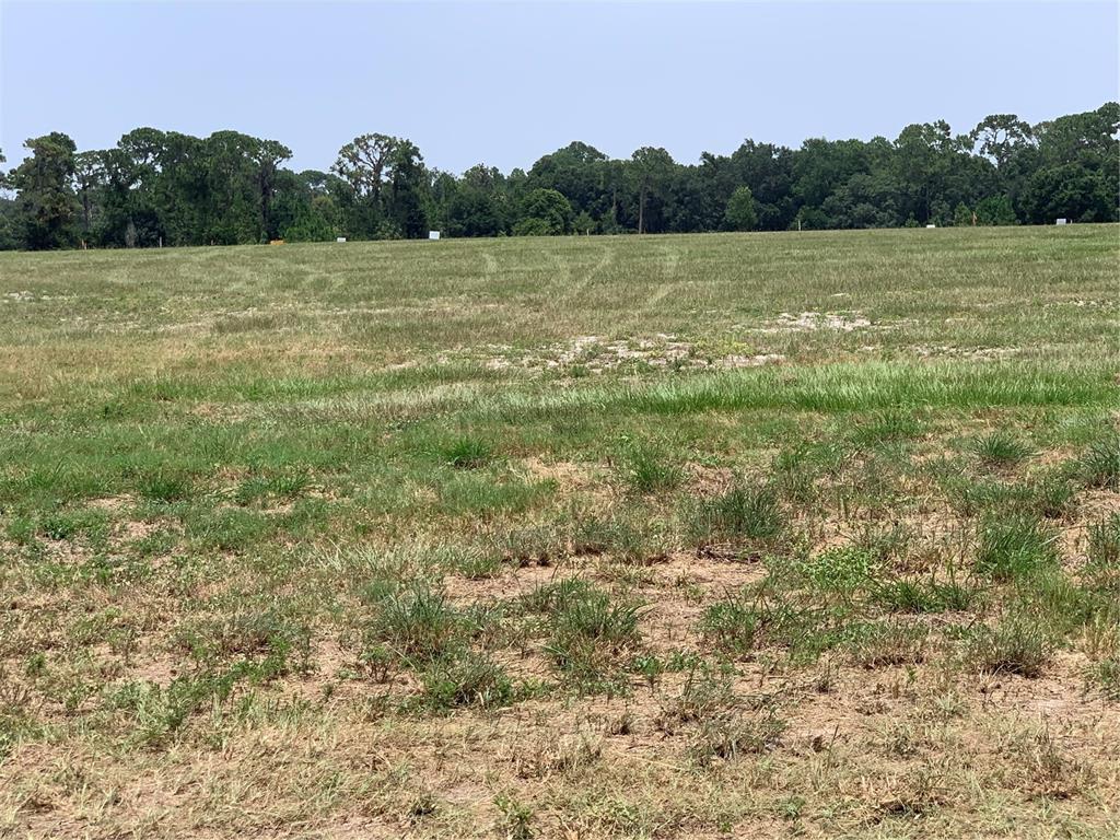 3448 Lake Diane Road Tavares, FL 32778 - Photo 2 of 3