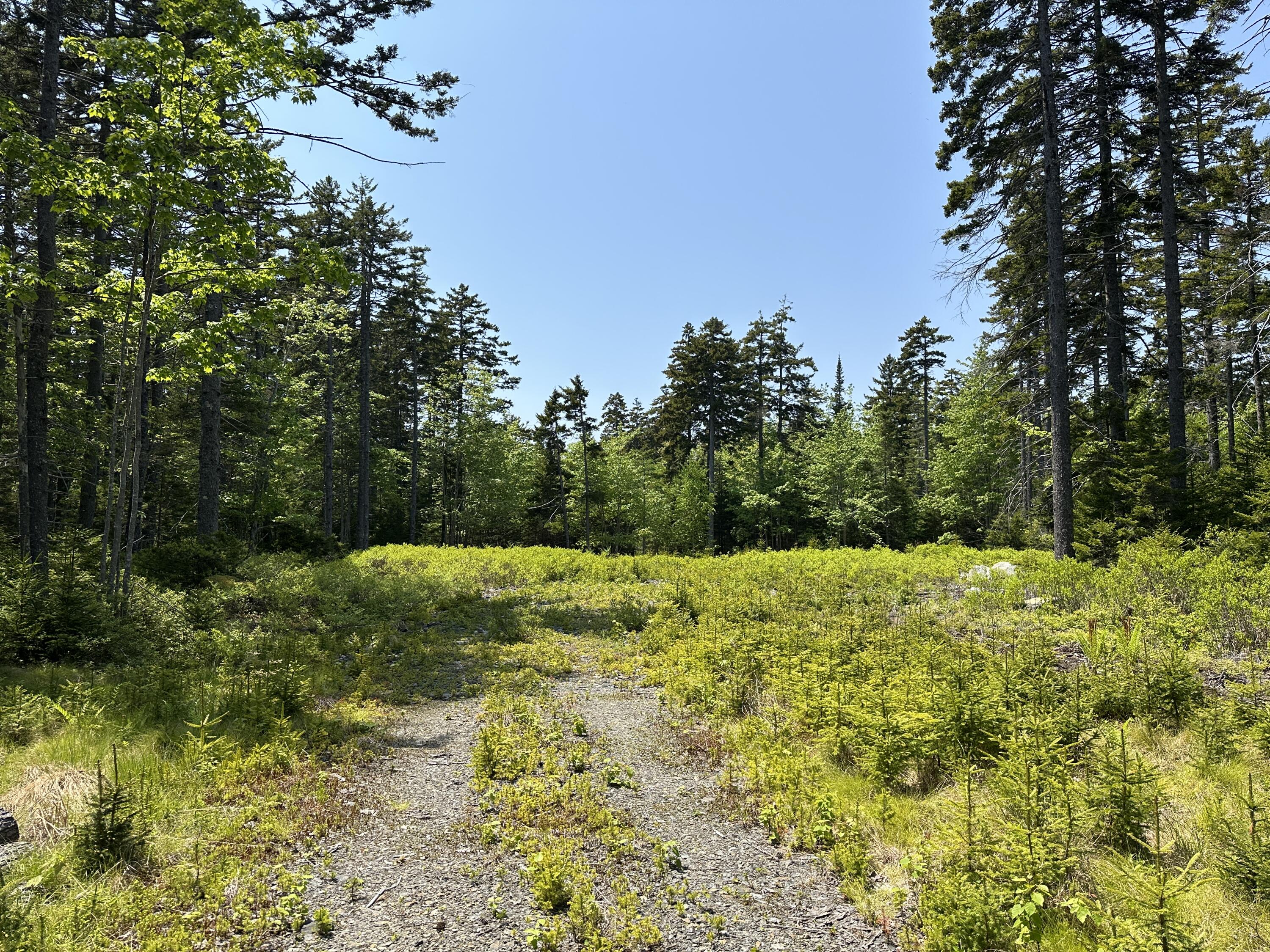 Lot 5 Waymouth Road Tenants Harbor, ME 04860 - Photo 32 of 56 June 2025