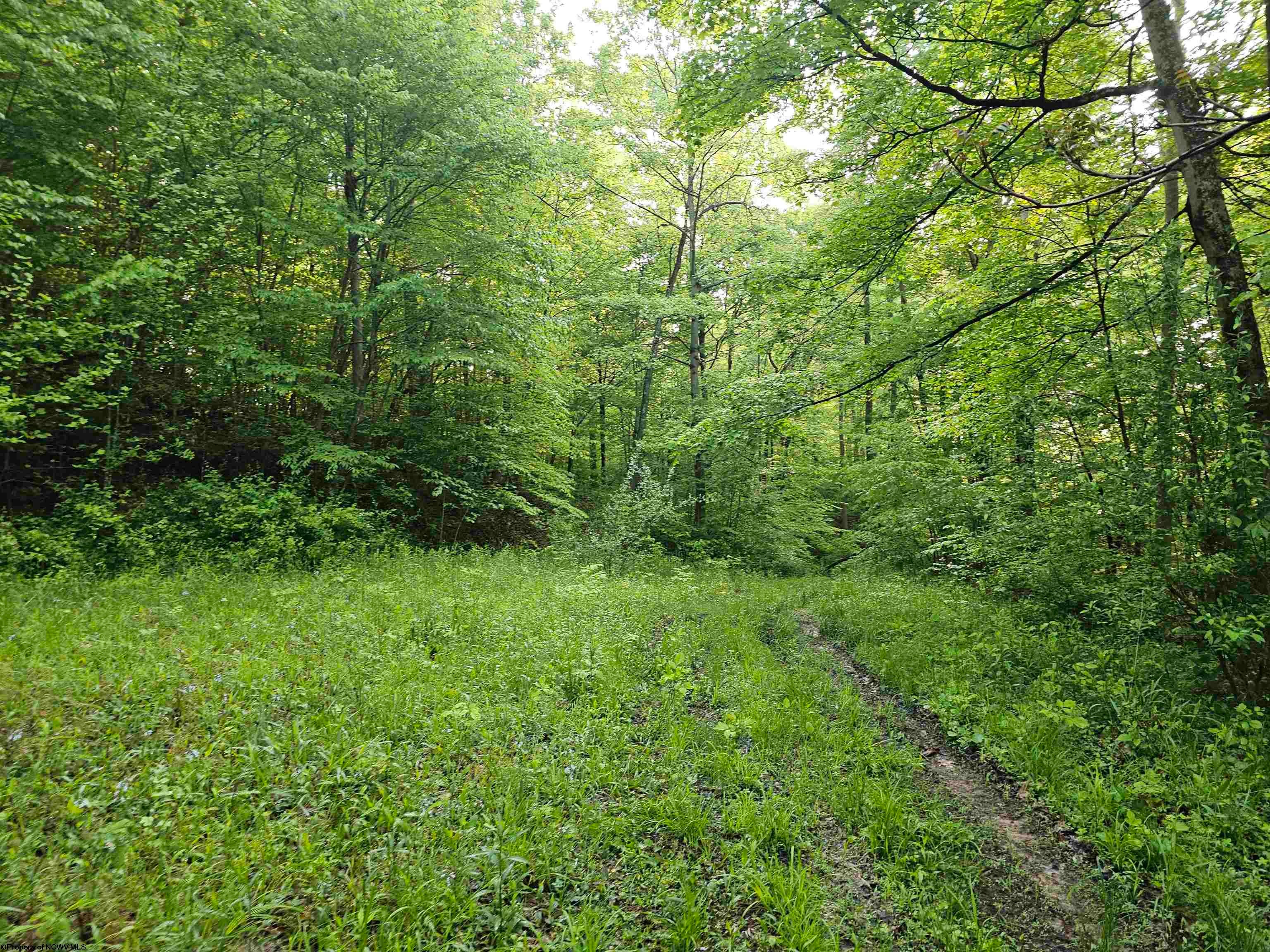 1 John Orr Road Independence, WV 26374 - Photo 47 of 50 Gallery Image 47