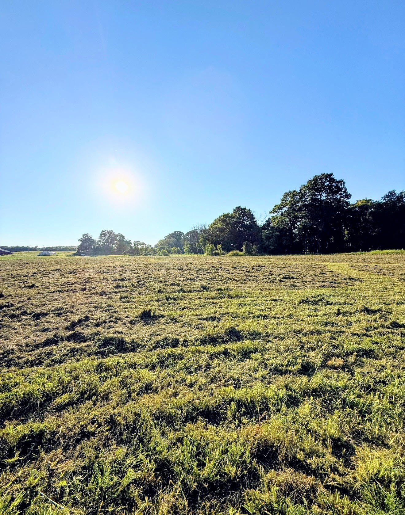 8001 Cainsville Road Lebanon, TN 37090 - Photo 4 of 15 Gallery Image 4