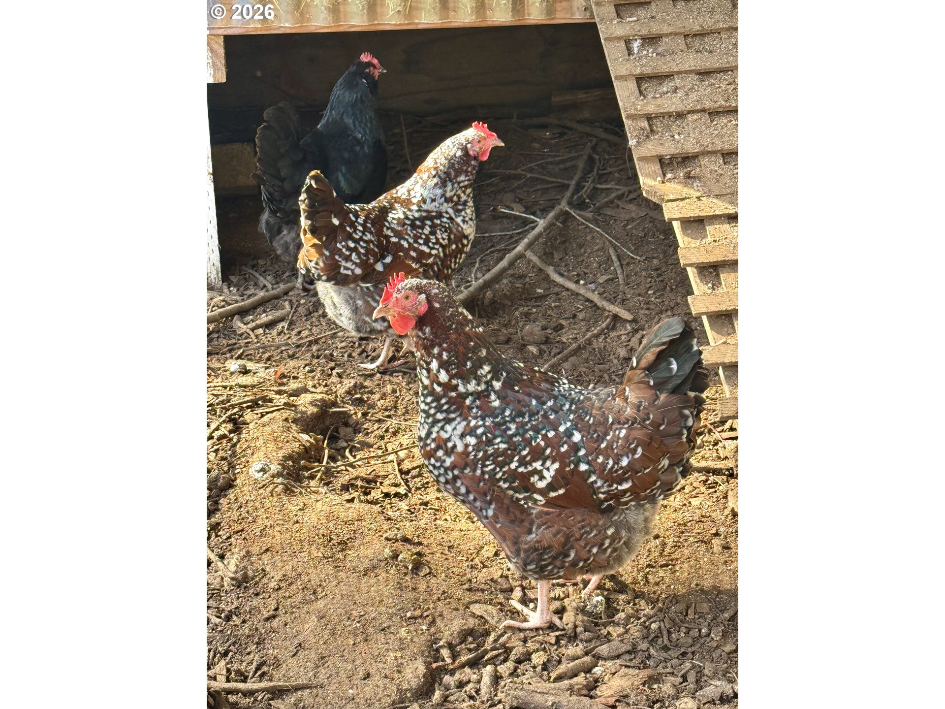 63290 Rice Road Coos Bay, OR 97420 - Photo 39 of 48