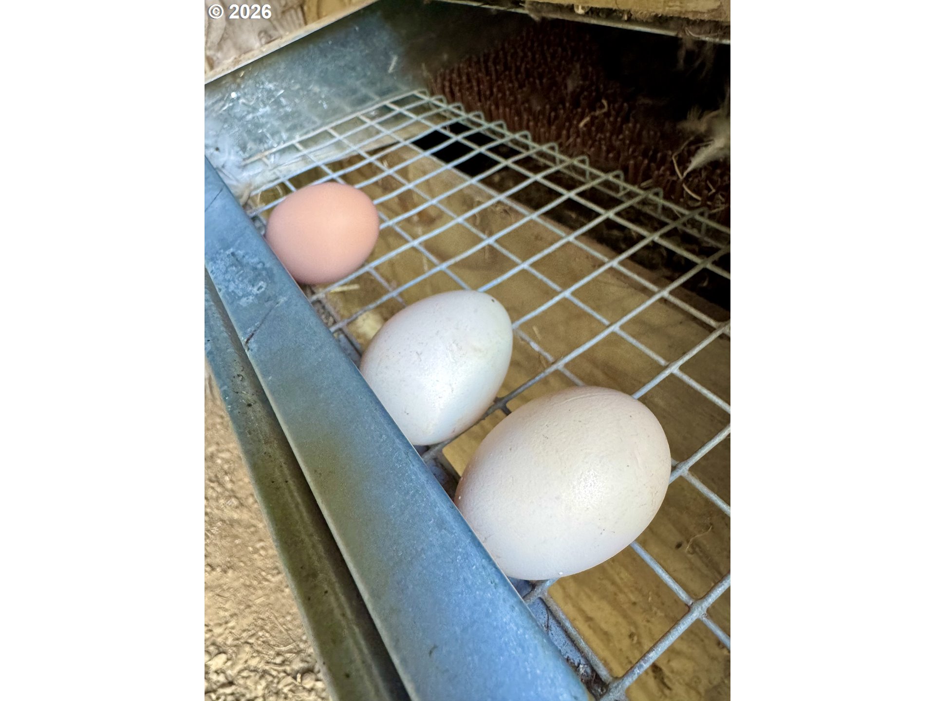 63290 Rice Road Coos Bay, OR 97420 - Photo 40 of 48