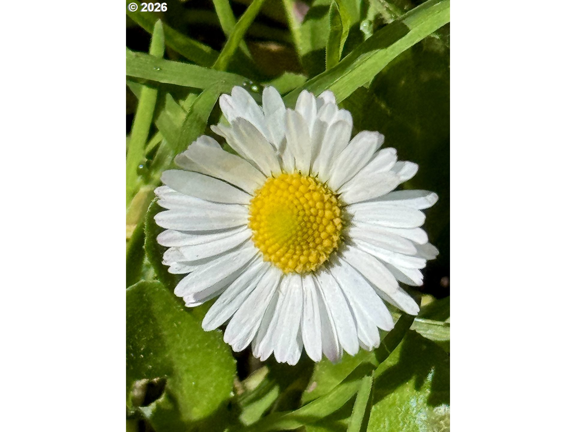 63290 Rice Road Coos Bay, OR 97420 - Photo 42 of 48