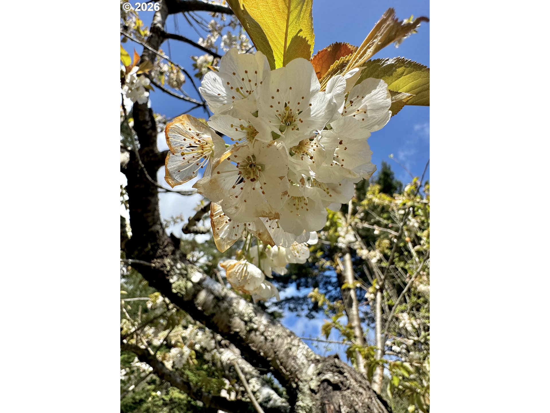 63290 Rice Road Coos Bay, OR 97420 - Photo 43 of 48