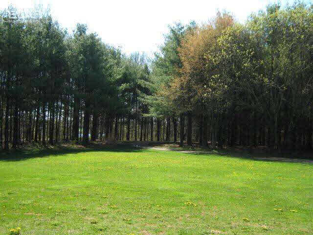 1195 Rose Center Road Fenton, MI 48430 - Photo 30 of 31 21144143-30.JPG