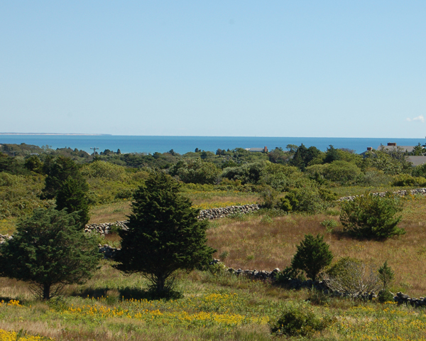 4 Austin Pasture Road Chilmark, MA 02535 - Photo 11 of 17 Gallery Image 11