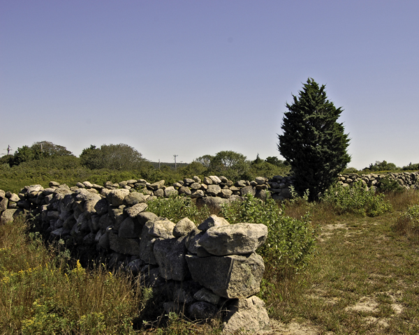 4 Austin Pasture Road Chilmark, MA 02535 - Photo 12 of 17 Gallery Image 12