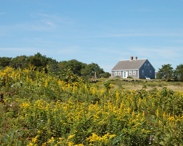 4 Austin Pasture Road Chilmark, MA 02535 - Photo 8 of 17 Gallery Image 8