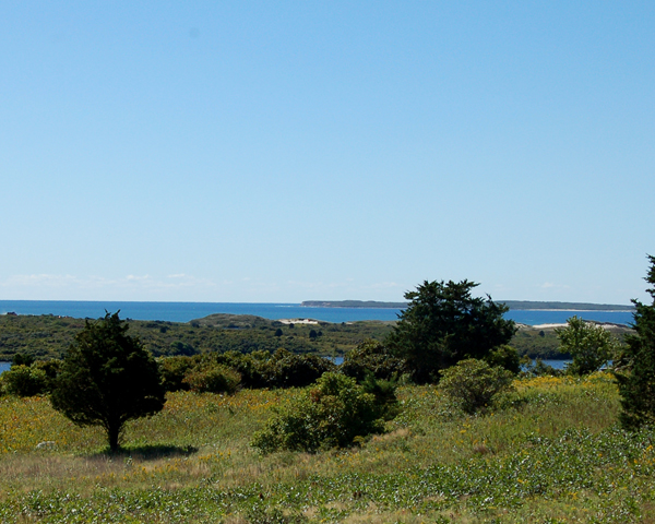 4 Austin Pasture Road Chilmark, MA 02535 - Photo 10 of 17 Gallery Image 10