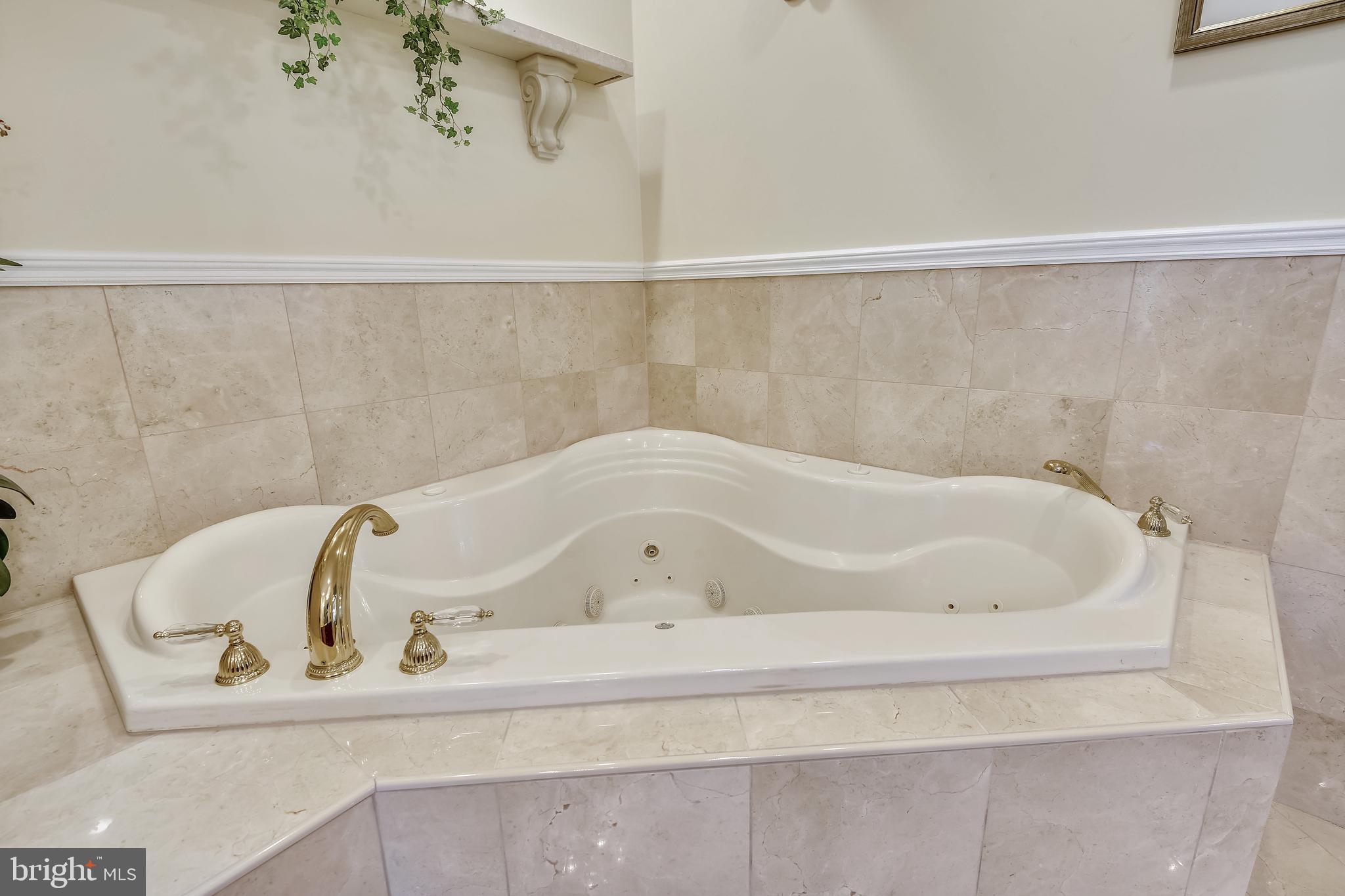 8325 Bensville Road Waldorf, MD 20603 - Photo 35 of 88 First Floor Master Bathroom