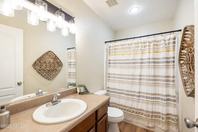 a bathroom with a sink a toilet and shower curtain