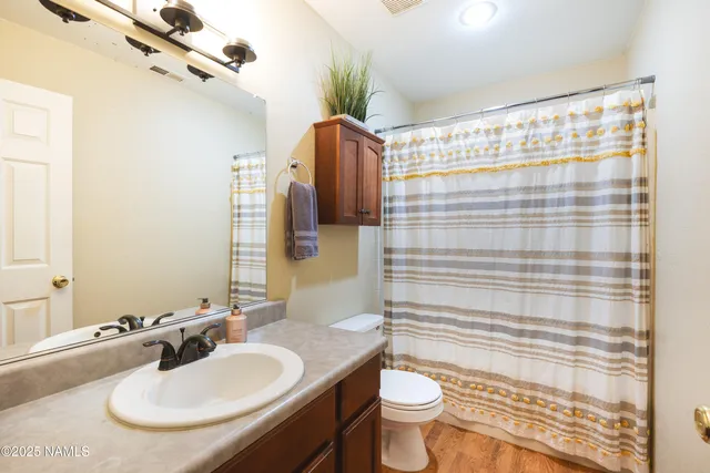a bathroom with a sink a toilet and shower curtain