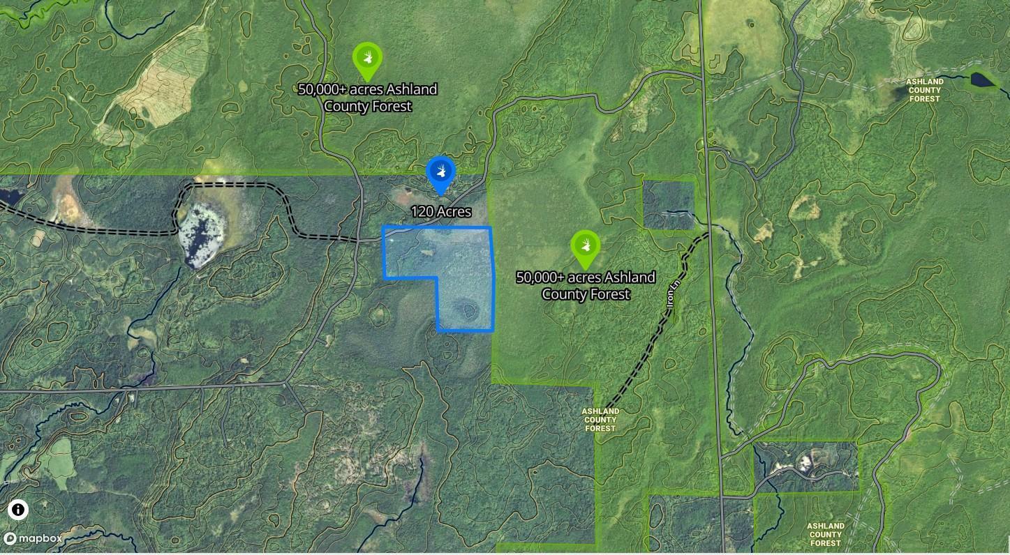 86469 Nature Road Butternut, WI 54514 - Photo 17 of 35