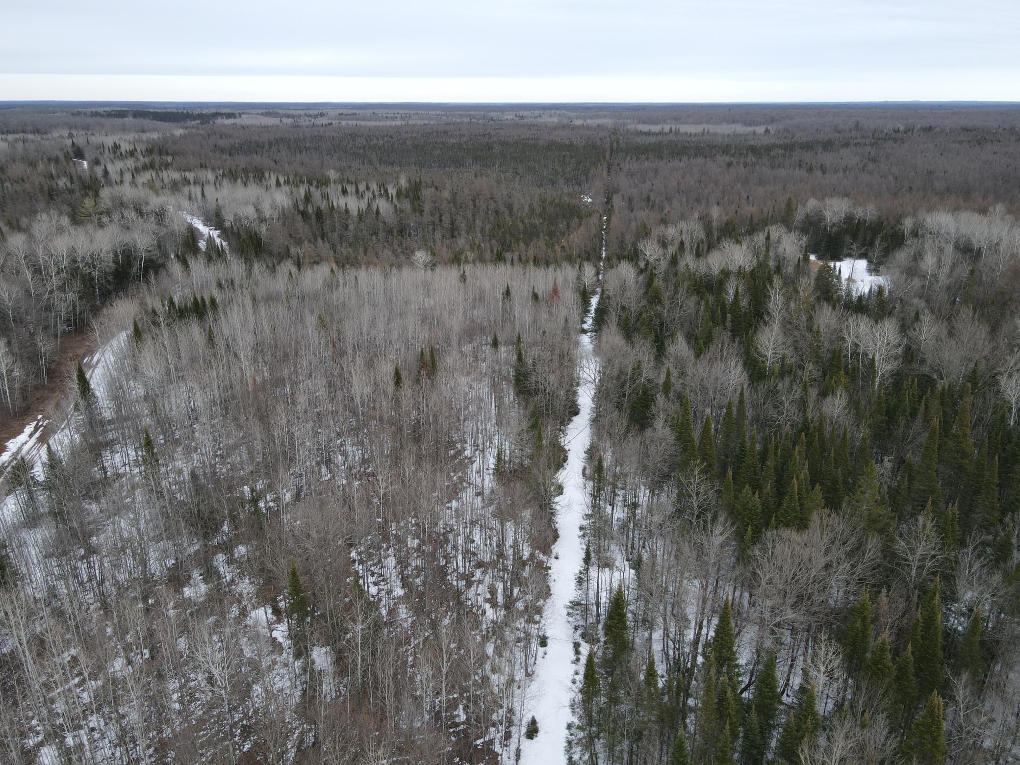 86469 Nature Road Butternut, WI 54514 - Photo 25 of 35