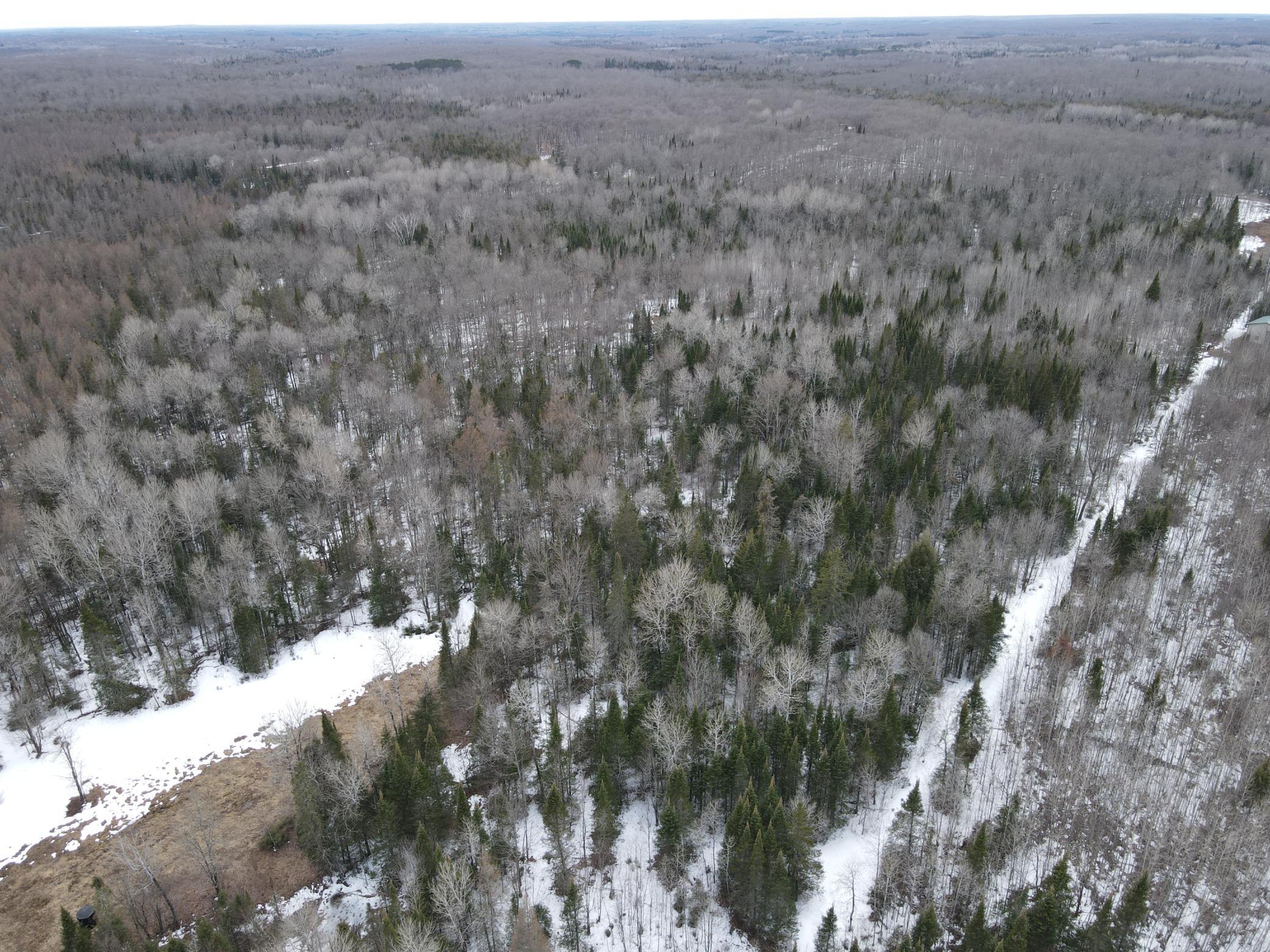 86469 Nature Road Butternut, WI 54514 - Photo 27 of 35