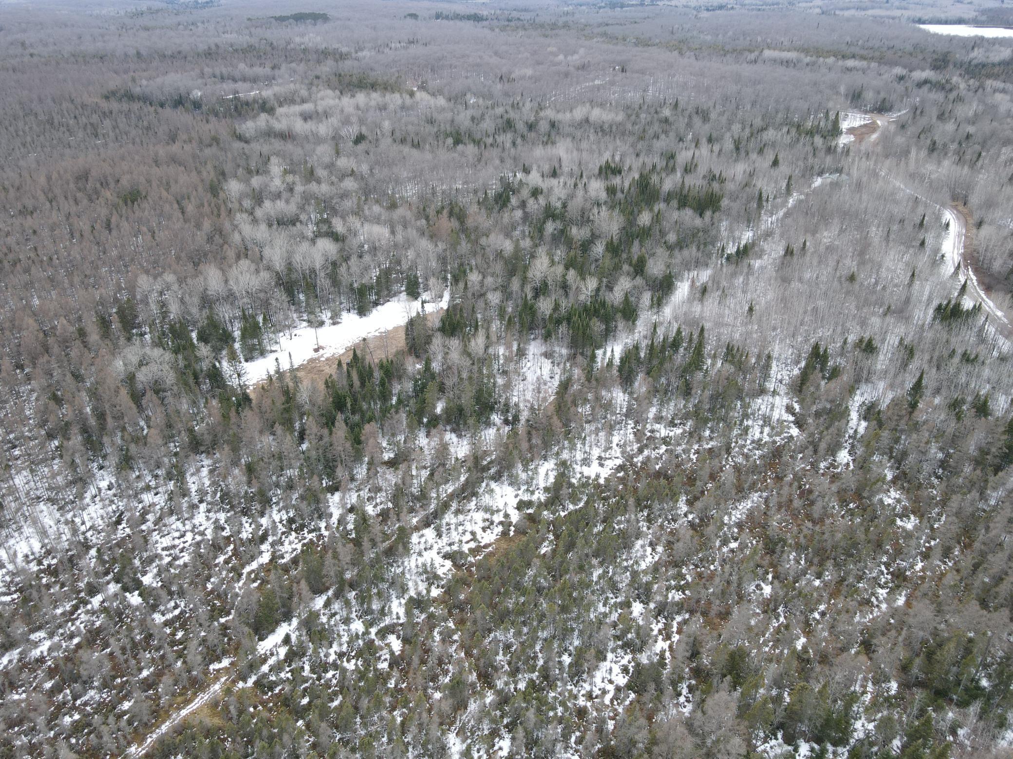 86469 Nature Road Butternut, WI 54514 - Photo 31 of 35