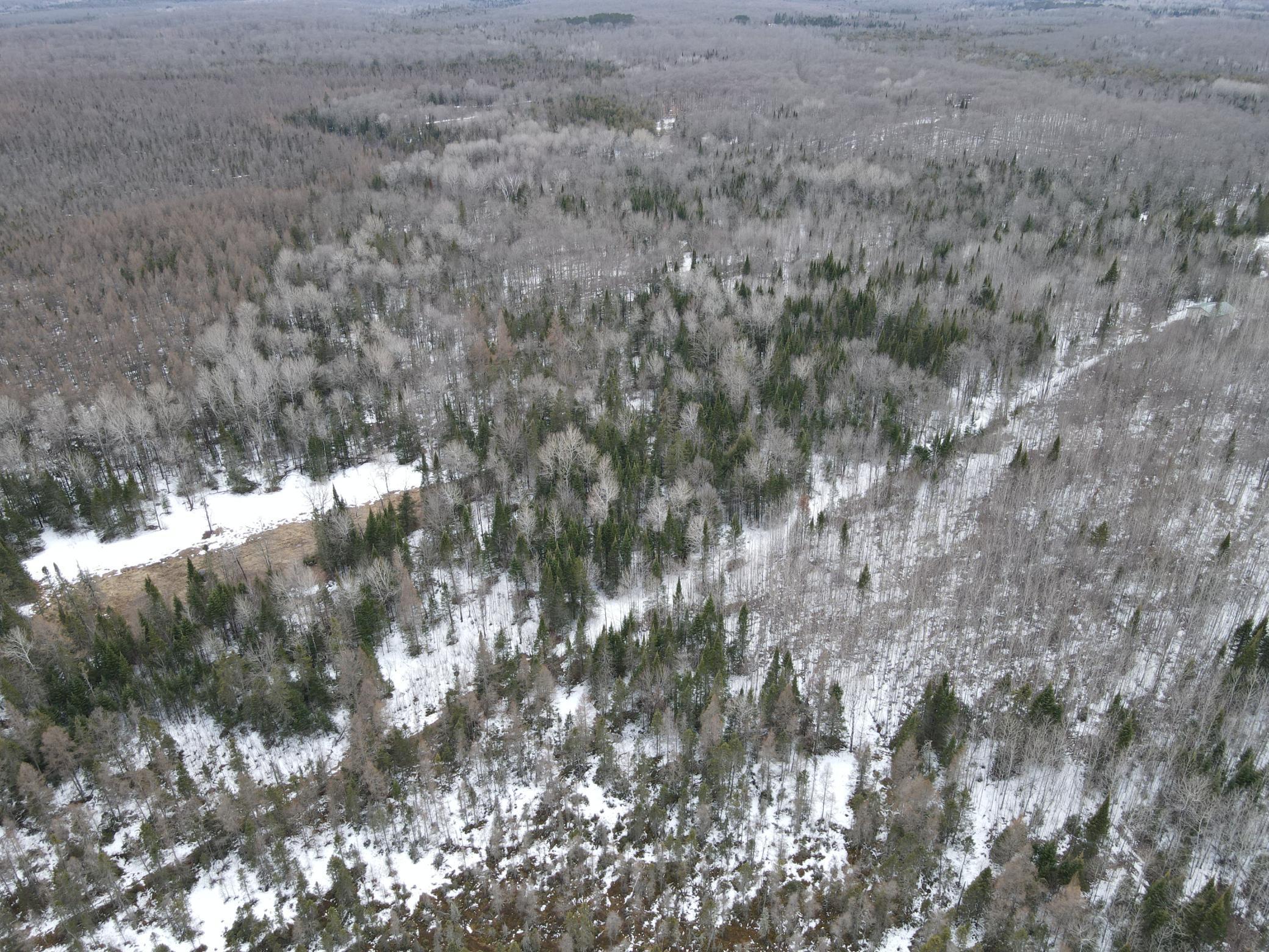 86469 Nature Road Butternut, WI 54514 - Photo 32 of 35