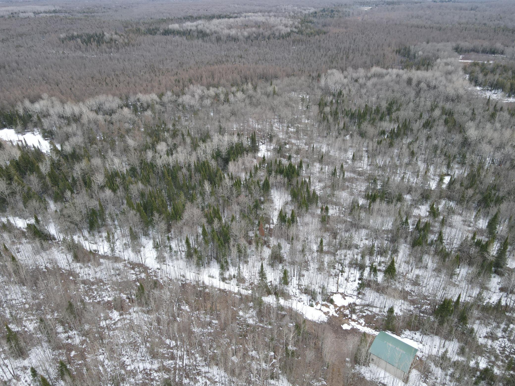 86469 Nature Road Butternut, WI 54514 - Photo 34 of 35