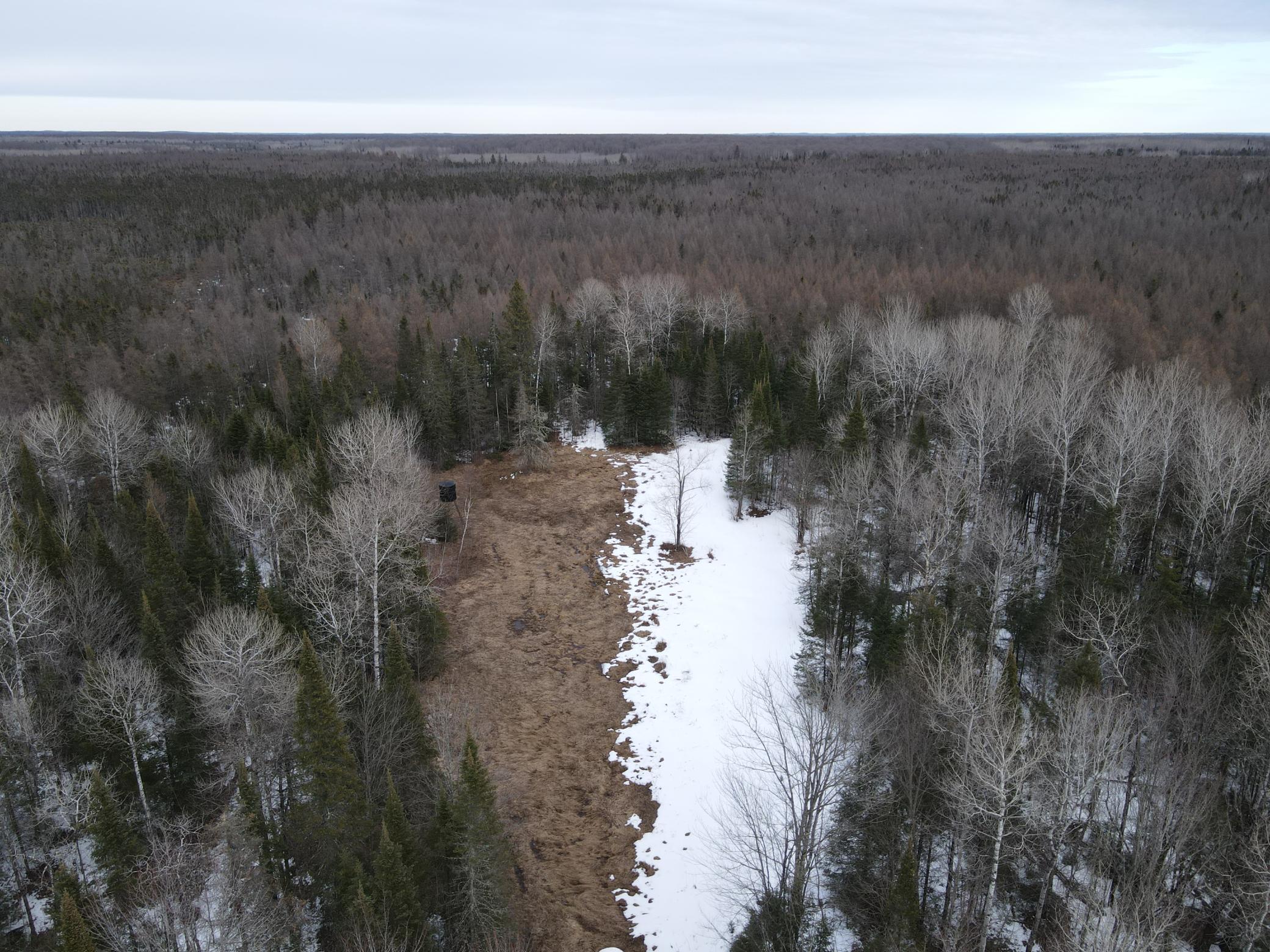 86469 Nature Road Butternut, WI 54514 - Photo 8 of 35