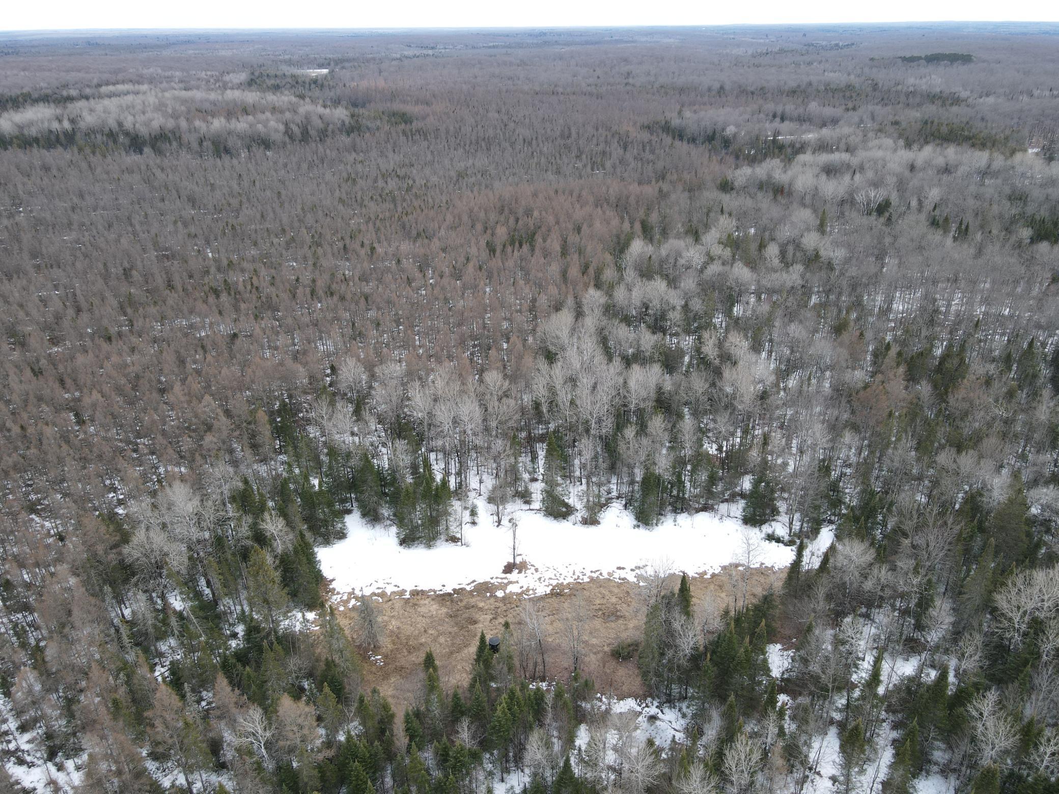 86469 Nature Road Butternut, WI 54514 - Photo 9 of 35