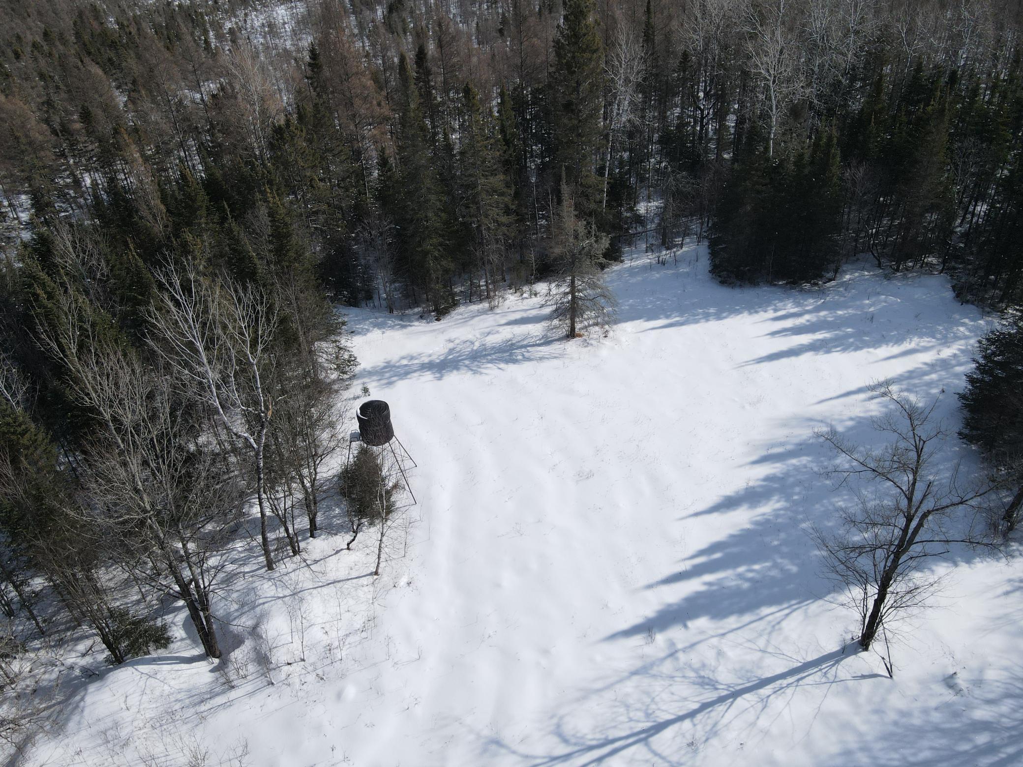 86469 Nature Road Butternut, WI 54514 - Photo 10 of 35