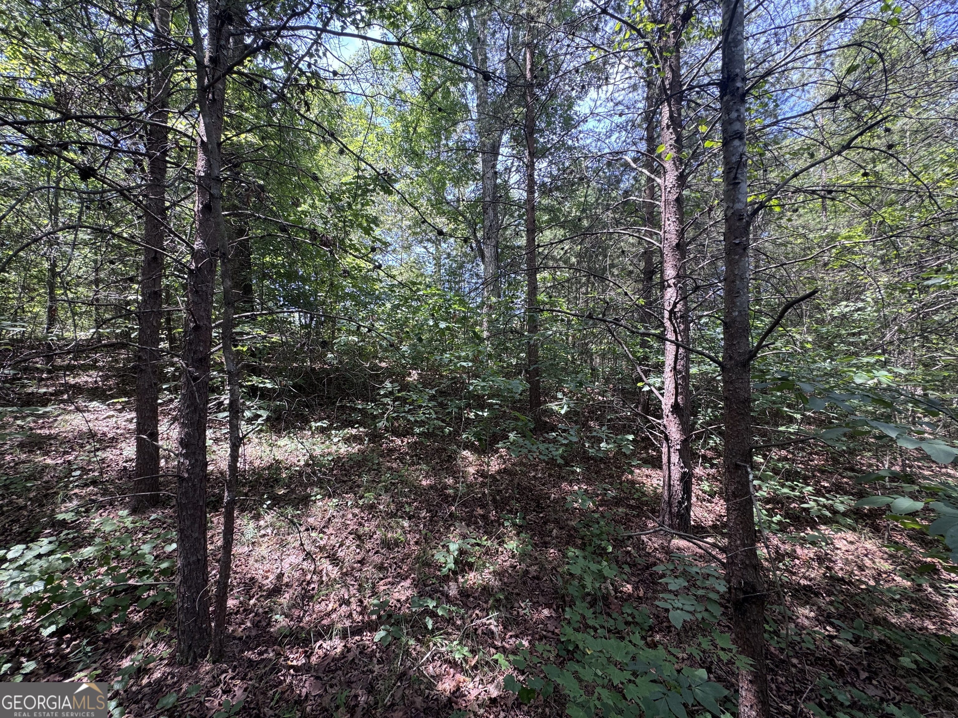 0 Sunshine Road Toccoa, GA 30577 - Photo 4 of 8