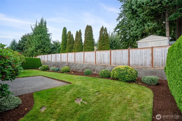 a view of a backyard with a garden and plants