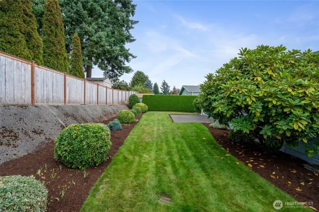 a view of garden with plants
