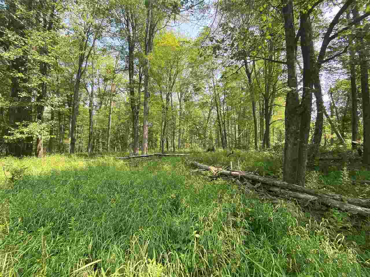 0 Briggs Road Omer, MI 48749 - Photo 39 of 45