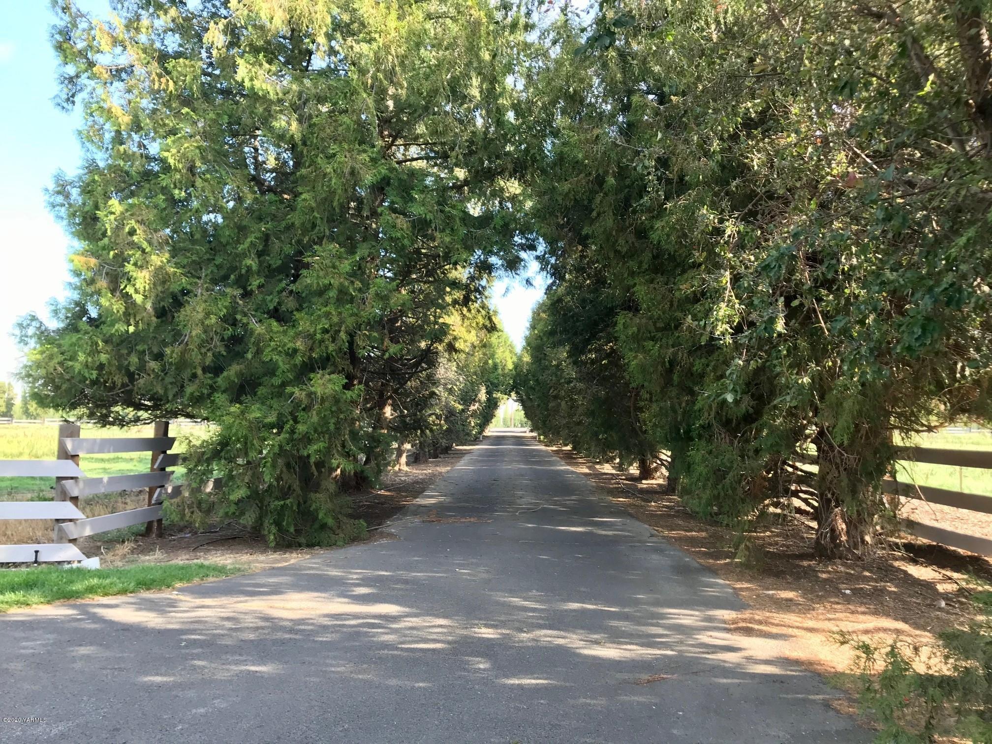 8540-2 Fort Road Wapato, WA 98951 - Photo 12 of 55 a view of road and trees
