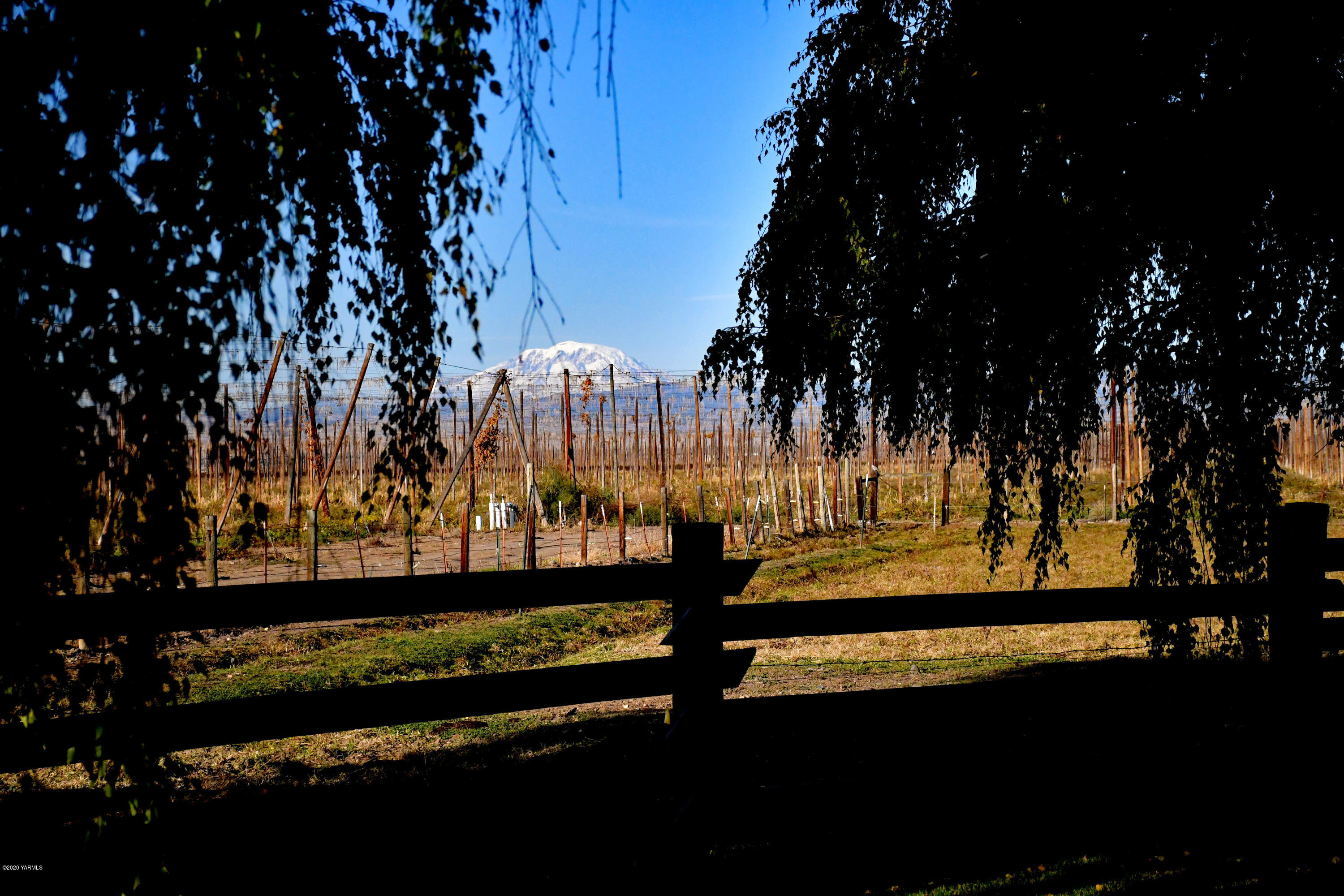 8540-2 Fort Road Wapato, WA 98951 - Photo 44 of 55 a view of an outdoor space