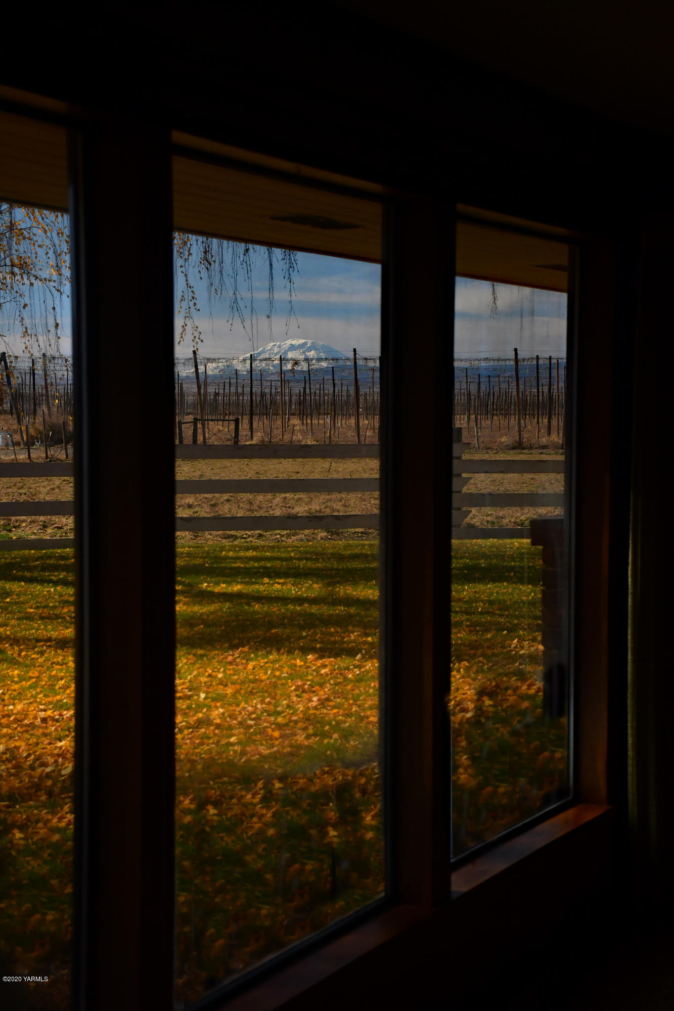8540-2 Fort Road Wapato, WA 98951 - Photo 45 of 55 a view of swimming pool from a room
