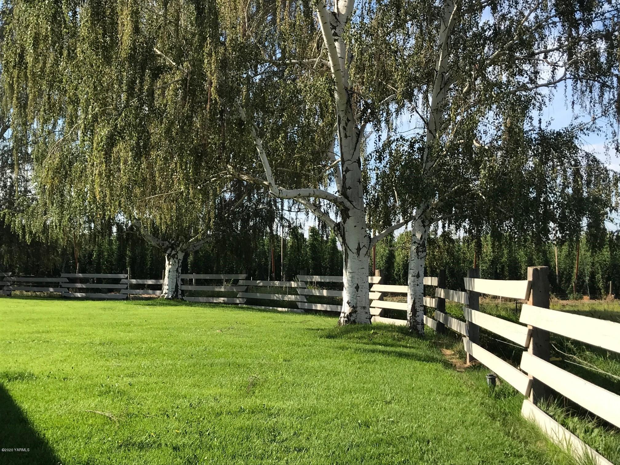 8540-2 Fort Road Wapato, WA 98951 - Photo 52 of 55 a view of a park with bench and trees