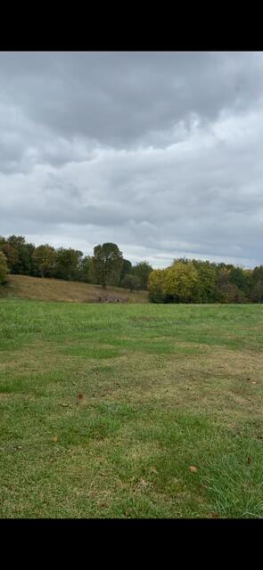0 Davis Road Campbellsville, KY 42718 - Photo 13 of 18 IMG_0972
