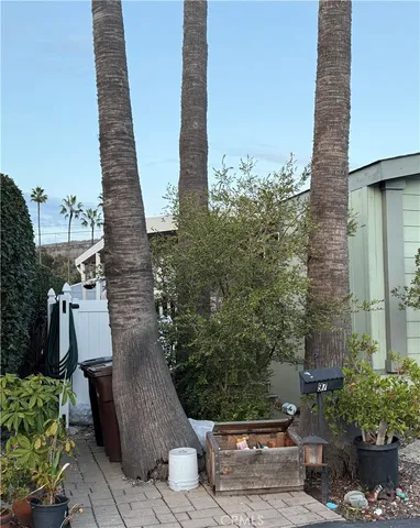 a view of a potted plants next to a road
