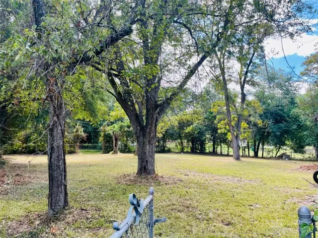 a view of a yard with a tree