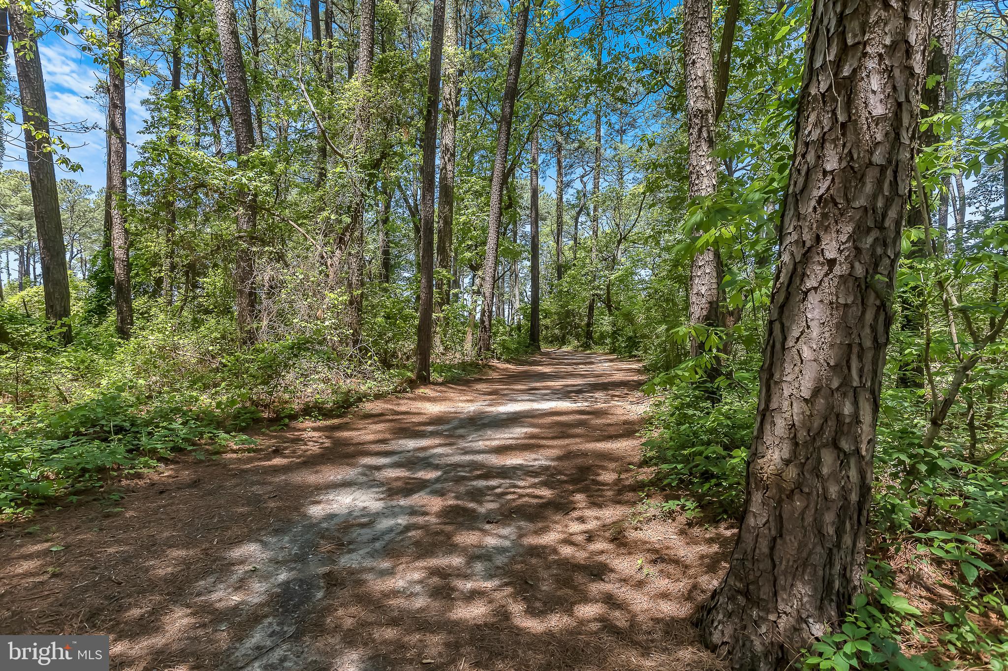 21245 Nanticoke Road Bivalve, MD 21814 - Photo 60 of 70