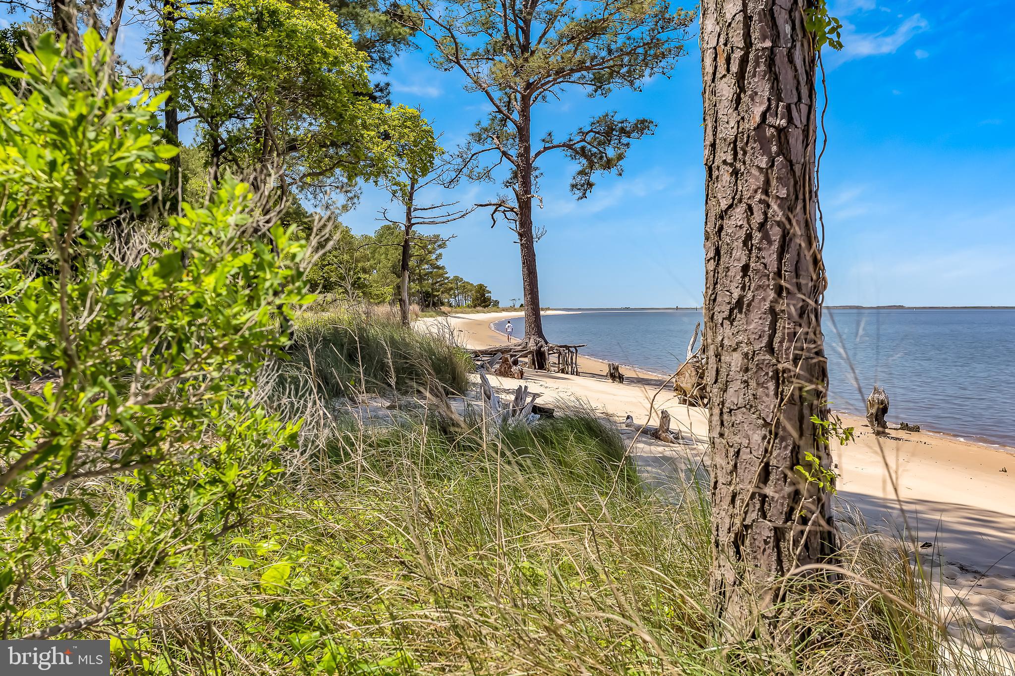 21245 Nanticoke Road Bivalve, MD 21814 - Photo 61 of 70