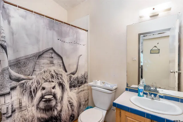 a bathroom with a toilet sink and mirror