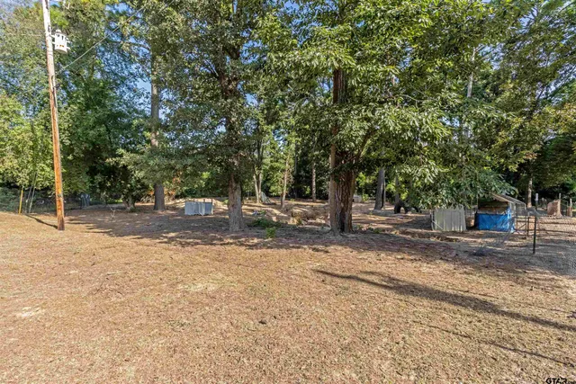 a view of a tree in the middle of a yard