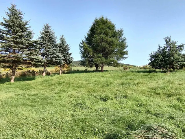 $139,000 | 1519 Whittier Hill Road, Cabot, VT 05647