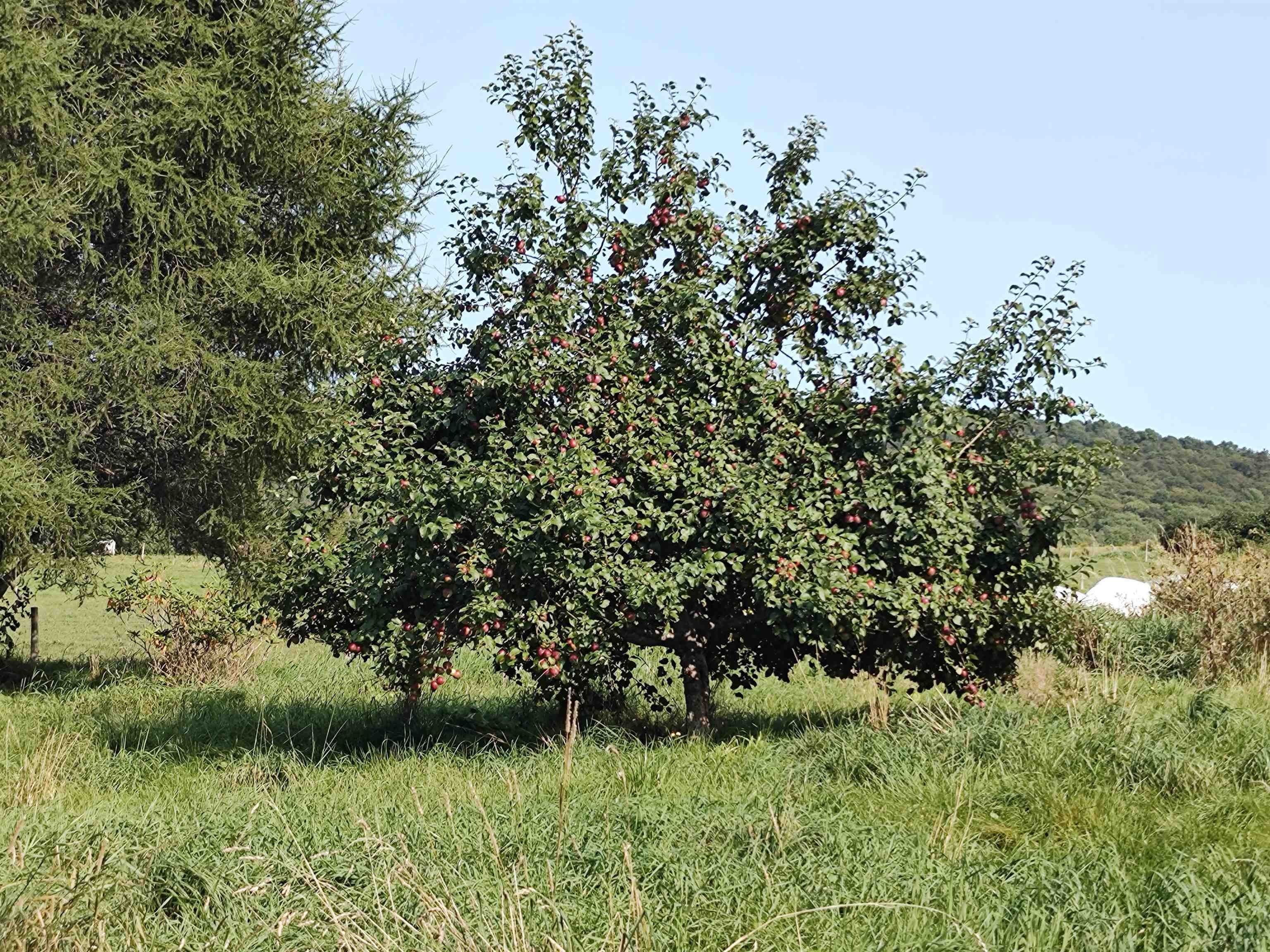 1519 Whittier Hill Road Cabot, VT 05647 - Photo 24 of 25