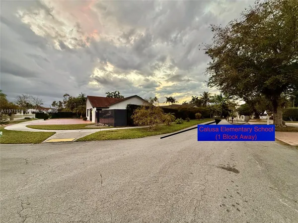a view of street with tall trees
